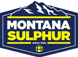 MS Logo